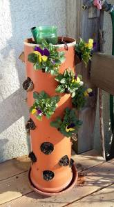 16939463_1512296128801351_3647661352711519161_n